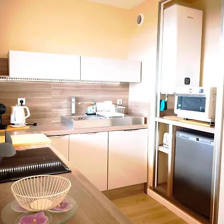 Bright With Sea View In Daire Ajaccio (Corsica)